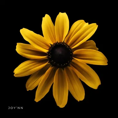 Joy'nn『J』のジャケット